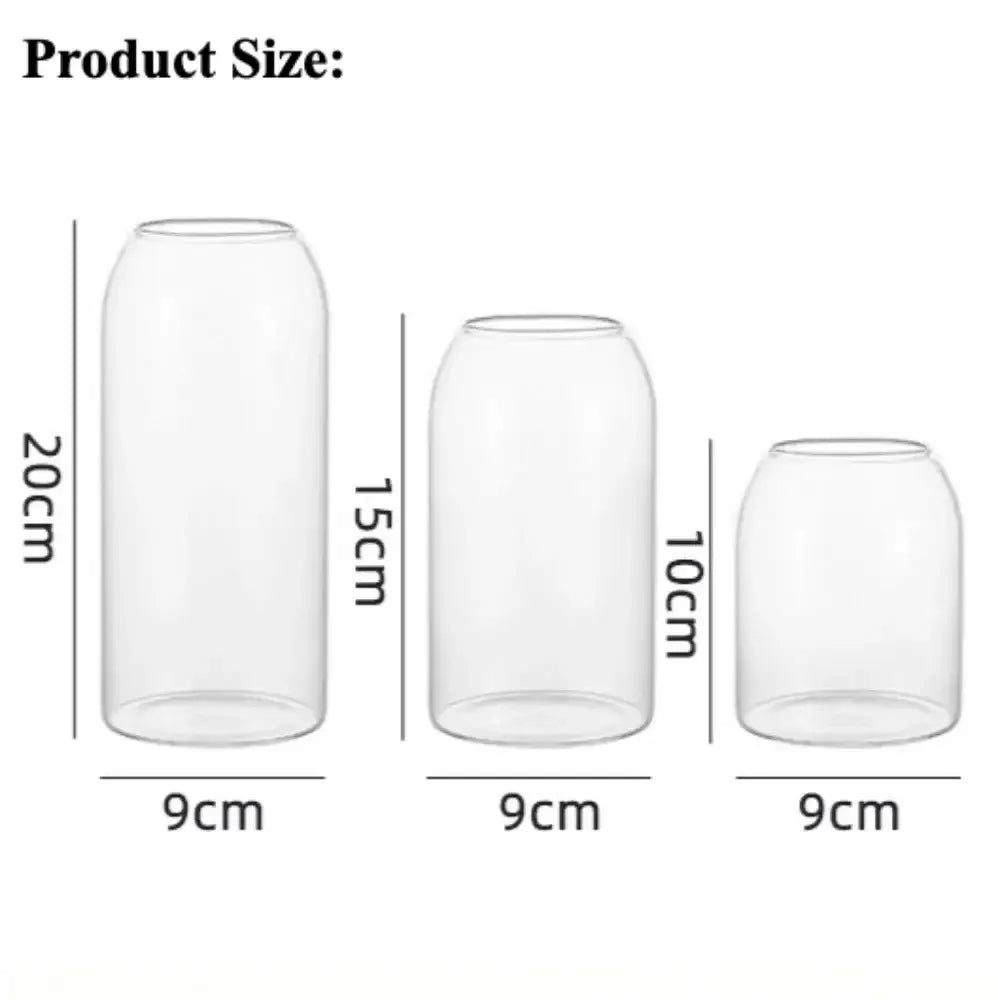 Modern Hydroponic Glass Flower Vase for Home & Wedding - Vase