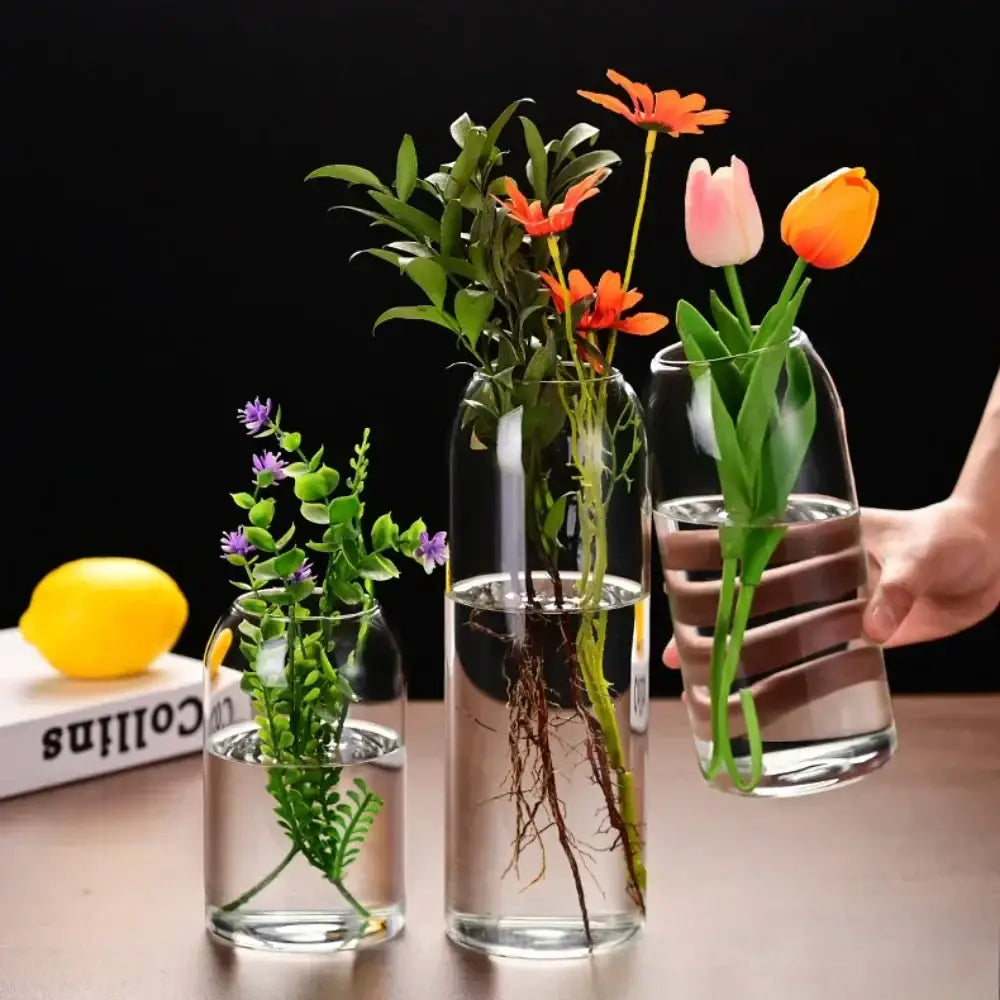 DecorBites modern hydroponic glass flower vase set with clear bottles holding artificial flowers and visible roots