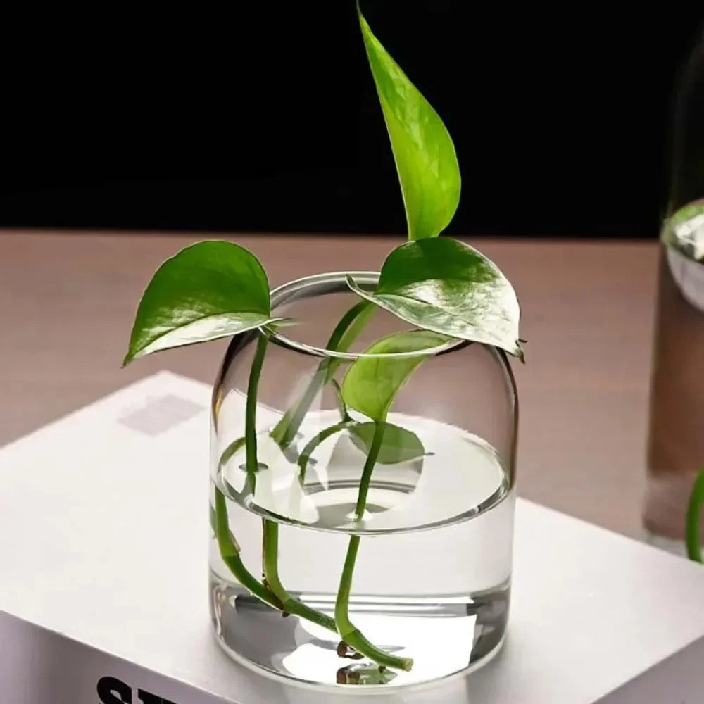 Modern Hydroponic Glass Flower Vase for Home & Wedding - Vase