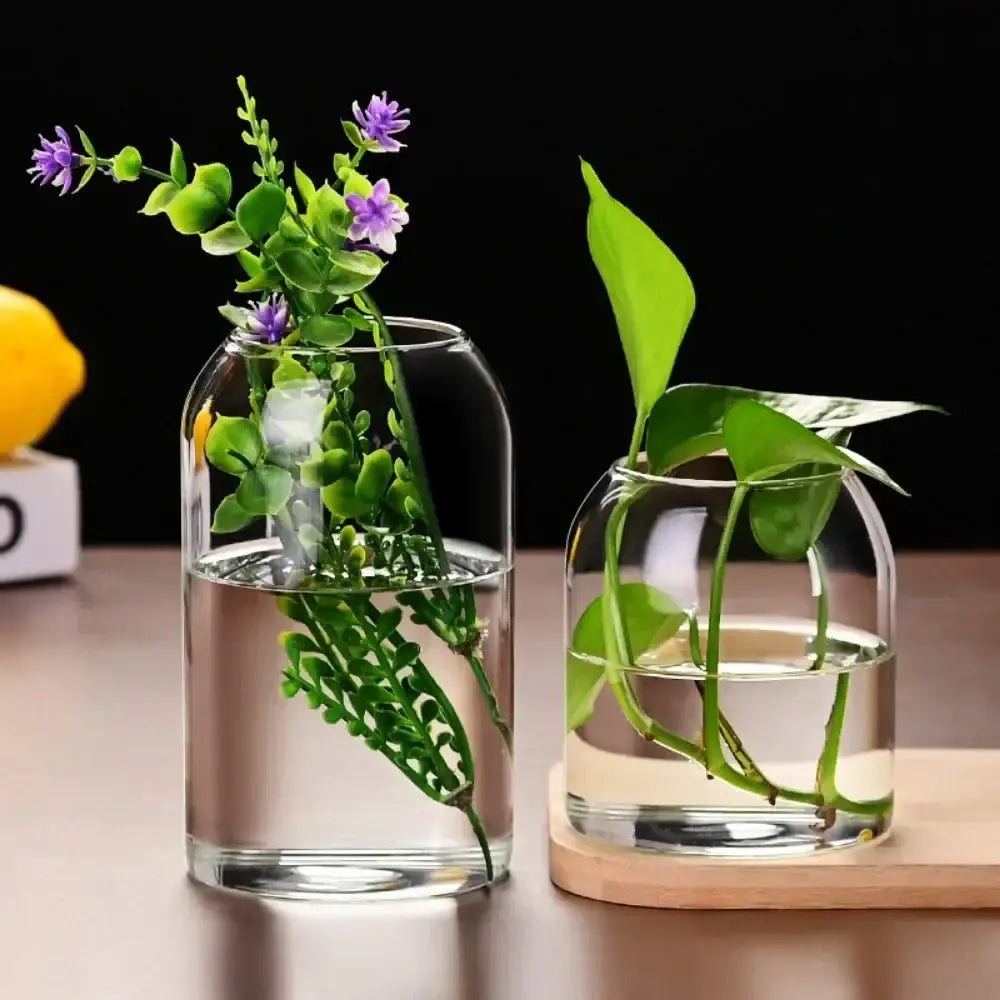 DecorBites modern hydroponic glass flower vase set with purple flowers and leafy plant for home and wedding decor