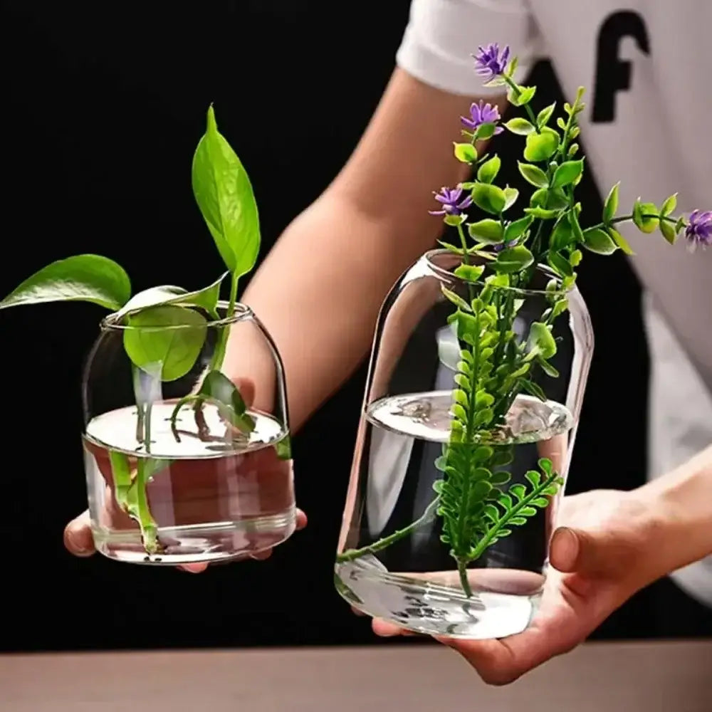 Two clear glass flower vases by decorbites with creative hydroponic plants for home and wedding decor