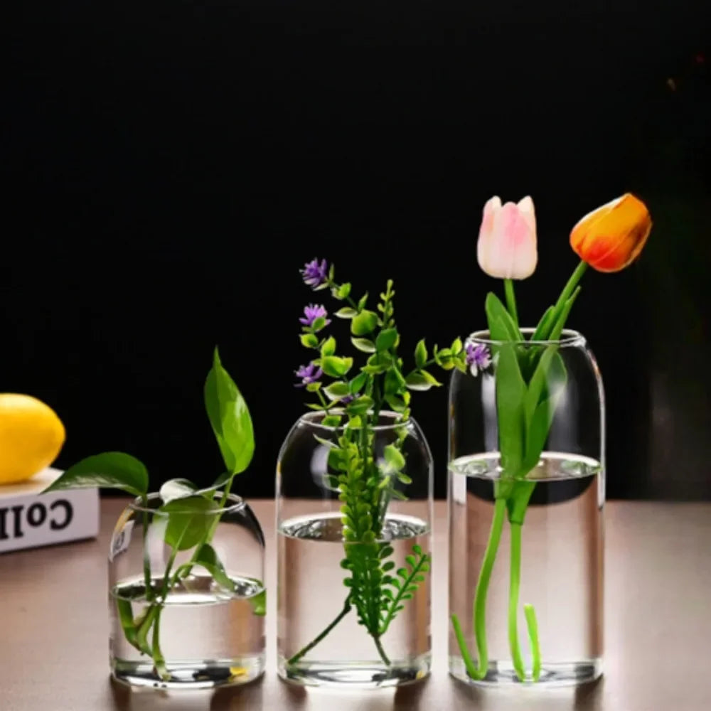 Modern Hydroponic Glass Flower Vase for Home & Wedding - Vase