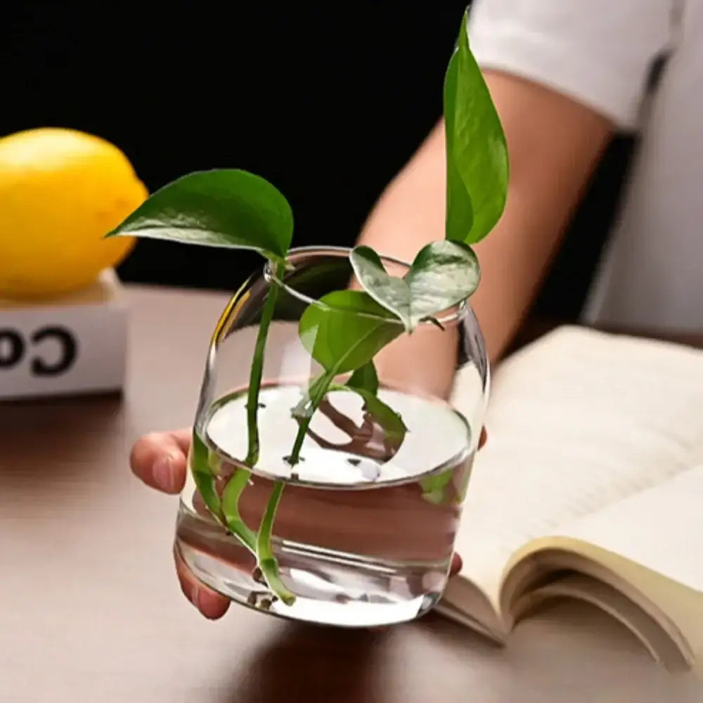 DecorBites™ modern hydroponic glass flower vase with a clear glass bottle holding a green heart-shaped plant for home and wedding