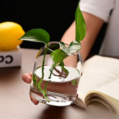 Modern Hydroponic Glass Flower Vase for Home & Wedding - Vase