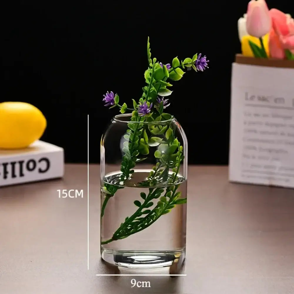 Decorbites™ modern hydroponic glass flower vase with clear rounded body holding greenery and purple flowers