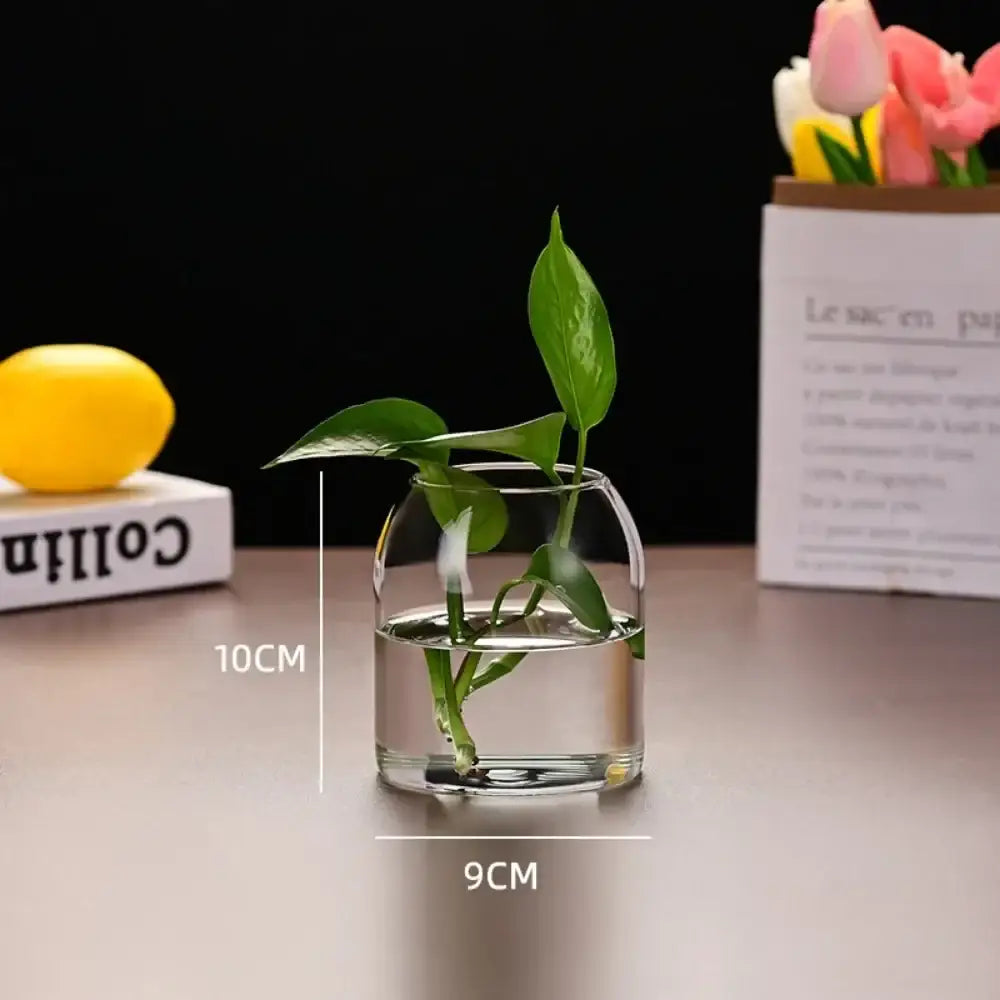 Clear glass flower vase with rounded bulbous shape and smooth surface from DecorBites™ modern hydroponic glass bottle