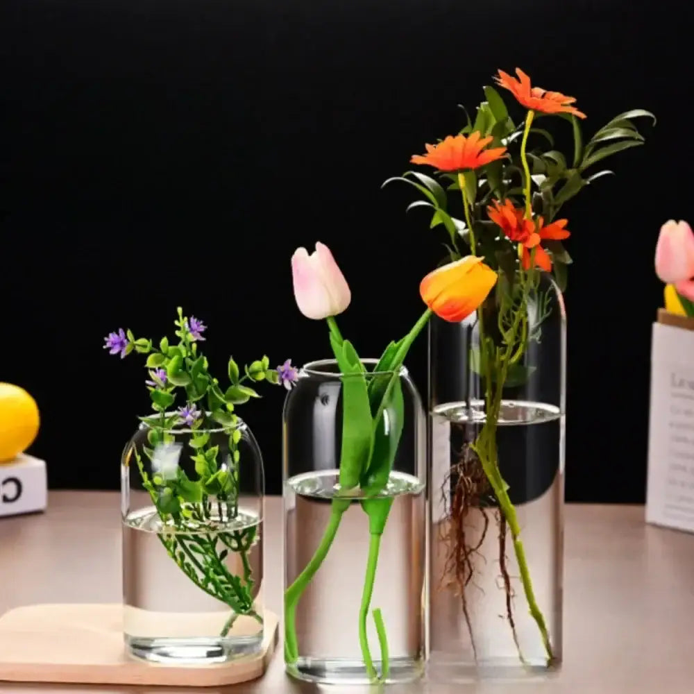 Decorbites modern hydroponic clear glass flower vase set with artificial plants for home and wedding decor