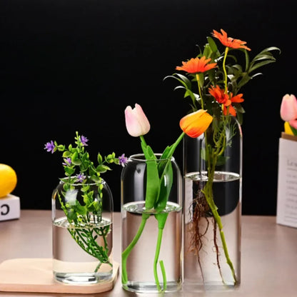 Modern Hydroponic Glass Flower Vase for Home & Wedding - Vase