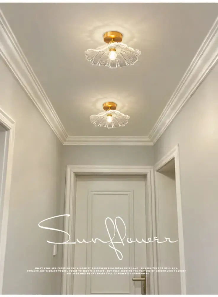 Gold-finished decorbites modern nordic ceiling lights with clear petal-shaped glass shade e27 ceiling lights for interiors