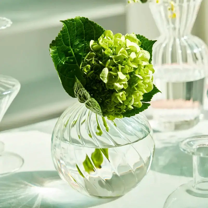 DecorBites modern Nordic ribbed glass vase with vibrant green hydrangea bloom for home and wedding decor
