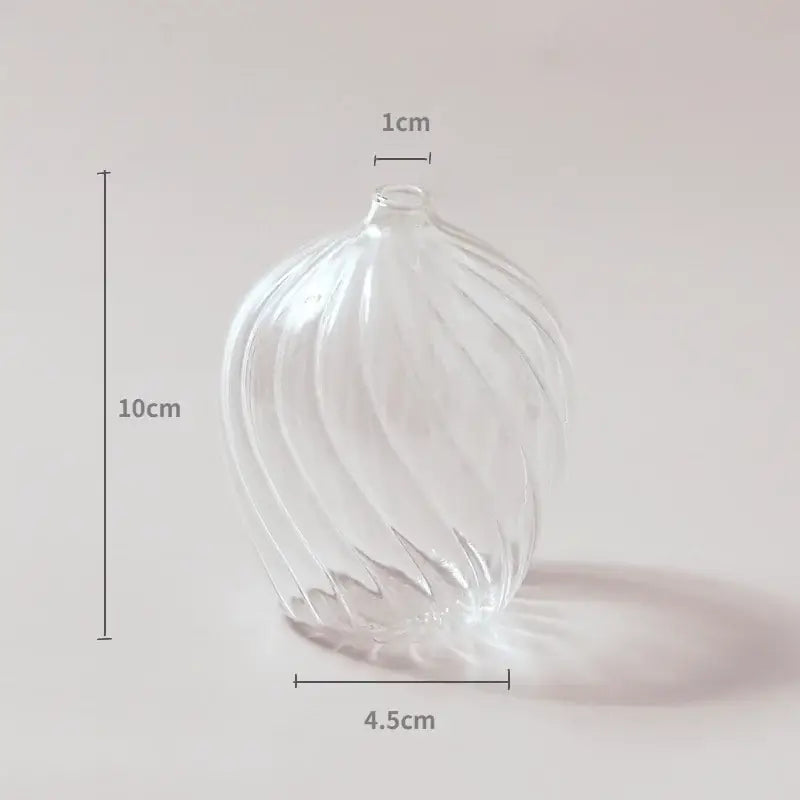 Decorbites™ modern nordic clear glass vase with twisted ribbed design and rounded shape to decorate root spaces