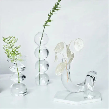Decorbites modern nordic clear glass vases set with spherical and curved designs holding delicate greenery for decorate root use