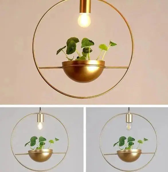 Gold-toned circular pendant light with integrated hanging planter featuring small green plants by DecorBites™ modern nordic planter lighting