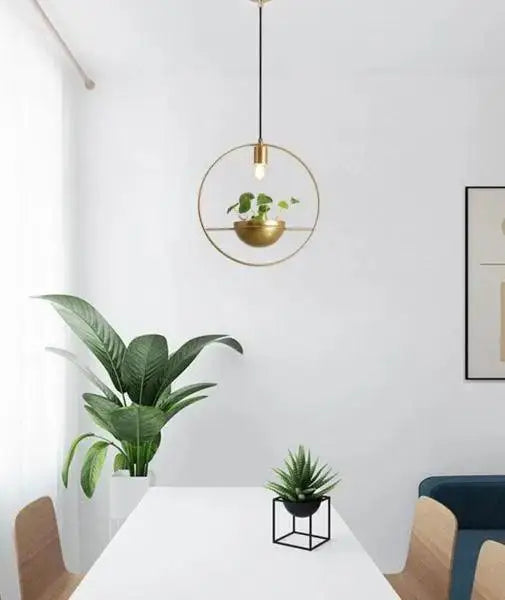 Decorbites™ modern nordic planter lighting is a brass circular pendant light with an integrated planter for small green succulents