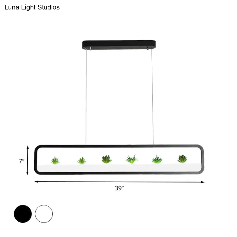 Decorbites modern black white rectangular acrylic ceiling light with five green succulents for dining room ceiling use