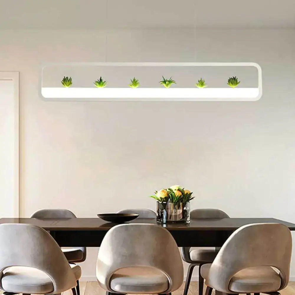 Decorbites modern rectangular acrylic pendant ceiling light with integrated led illumination in black white with succulents
