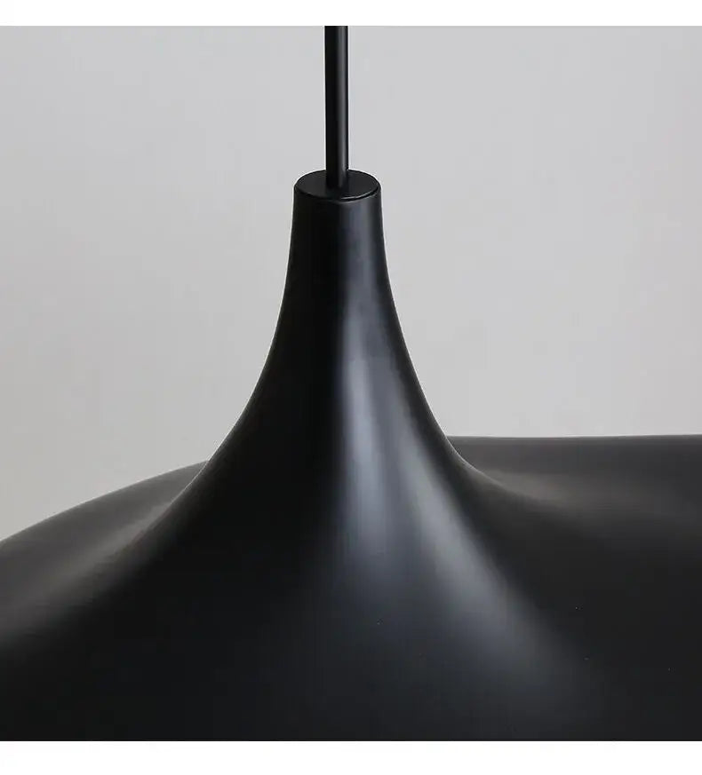 Black matte resin pendant lamp with a sleek teardrop design for dining room featuring changeable light options