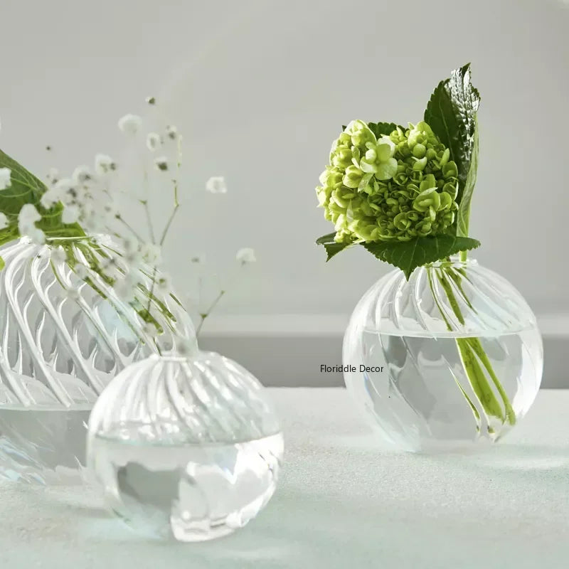Modern Transparent Glass Vases Set for Home - Vase