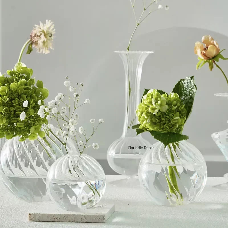 DecorBites™ Modern Transparent Glass Vases Set for Home