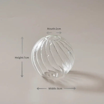 Decorbites™ modern transparent glass vase with vertical ribbed texture and 2cm mouth for home decorate root