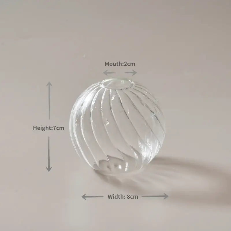 Decorbites™ modern transparent glass vase with vertical ribbed texture and 2cm mouth for home decorate root