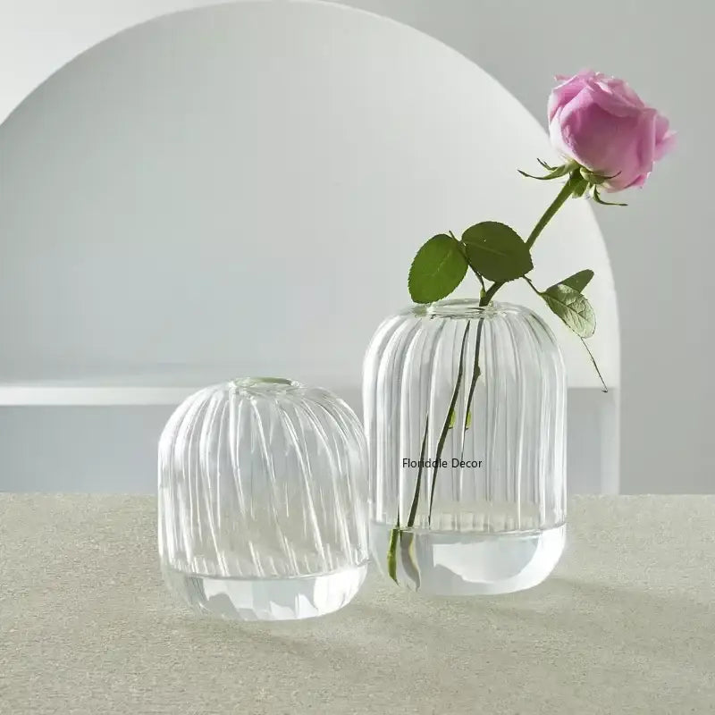 Modern Transparent Glass Vases Set for Home - Vase