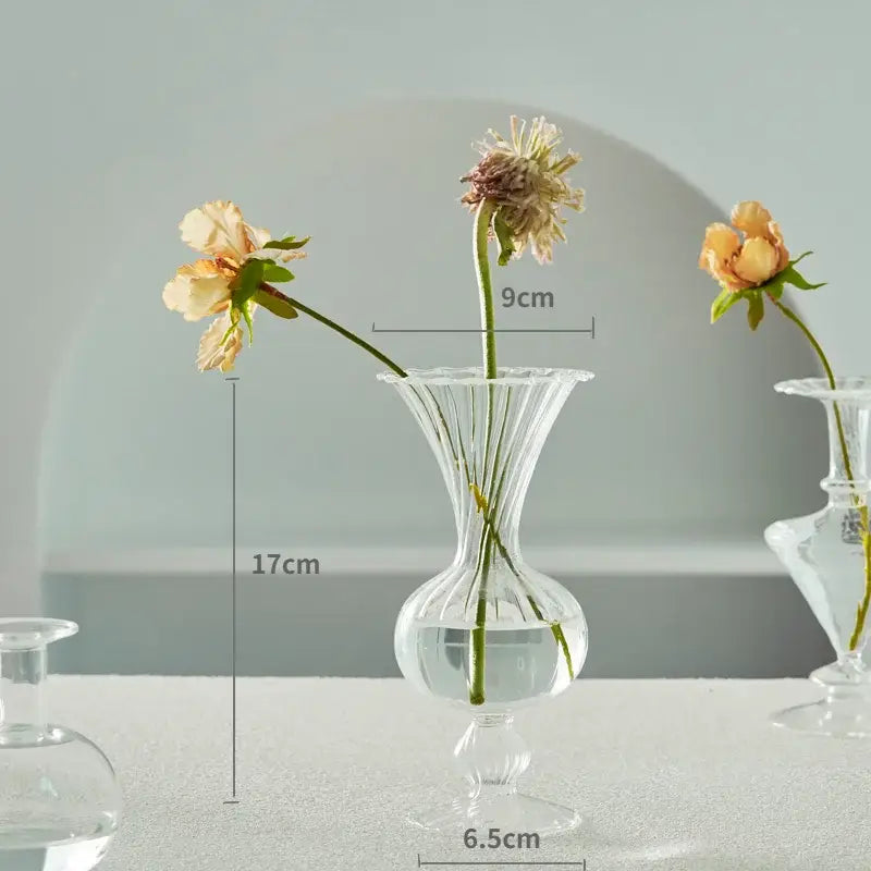 Decorbites modern transparent glass vase with fluted ribbed sides and slender neck for home decorate root use