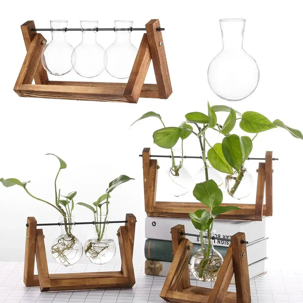 Clear glass vase terrariums with rounded shapes in modern wooden frame rustic a-frame stands by DecorBites™