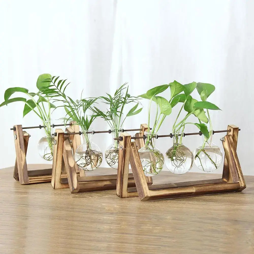 Set of five clear glass vases with visible roots holding green plants on modern wooden frame stands by DecorBites™