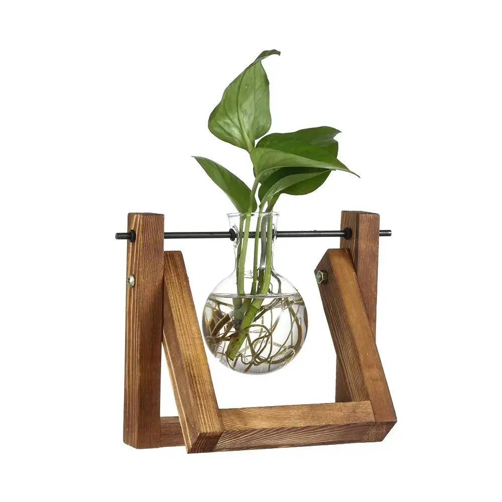 Decorbites™ modern wooden frame glass vase terrarium with transparent bulbous glass vase and vibrant green leaves