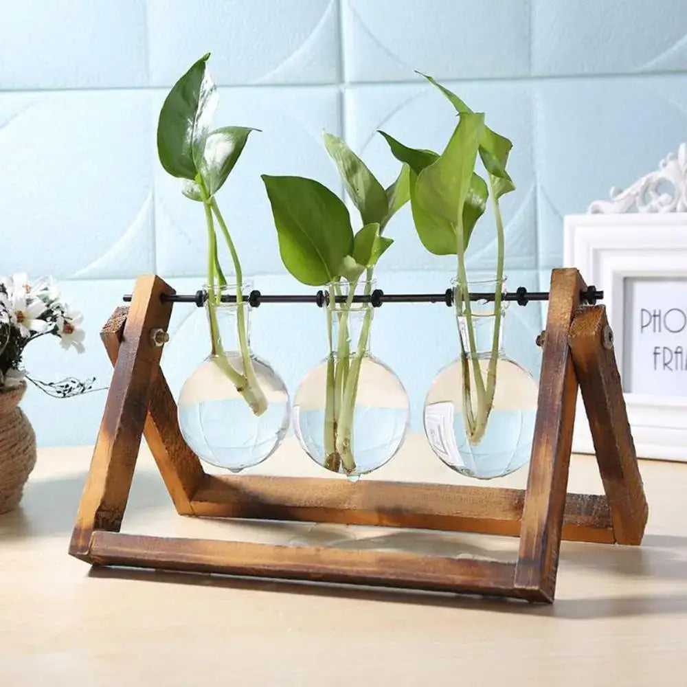 Wooden frame holding three clear glass vase spheres with green plants in water decorbites™ modern wooden frame
