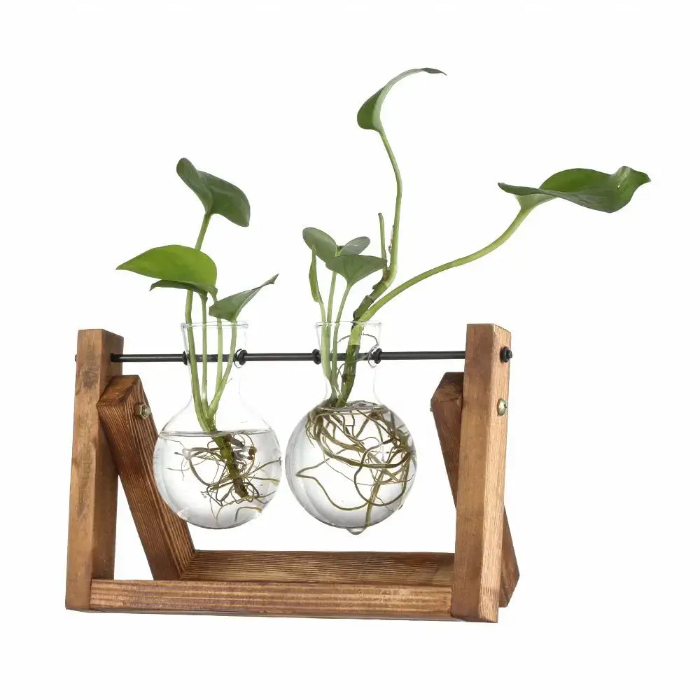 Wooden stand with modern wooden frame holding two clear glass vase vials containing green plants with visible roots