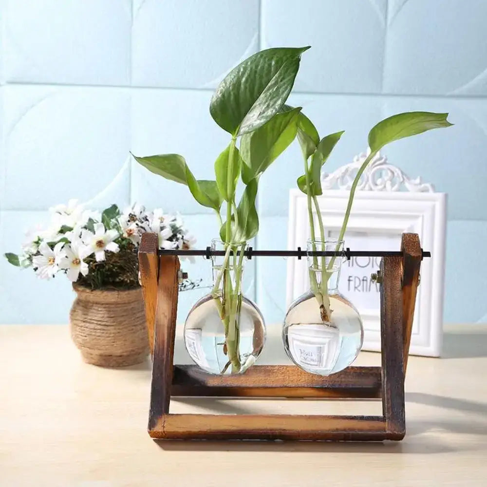 Modern wooden frame decorbites glass vase terrarium with wooden stand holding two clear spheres with green plants