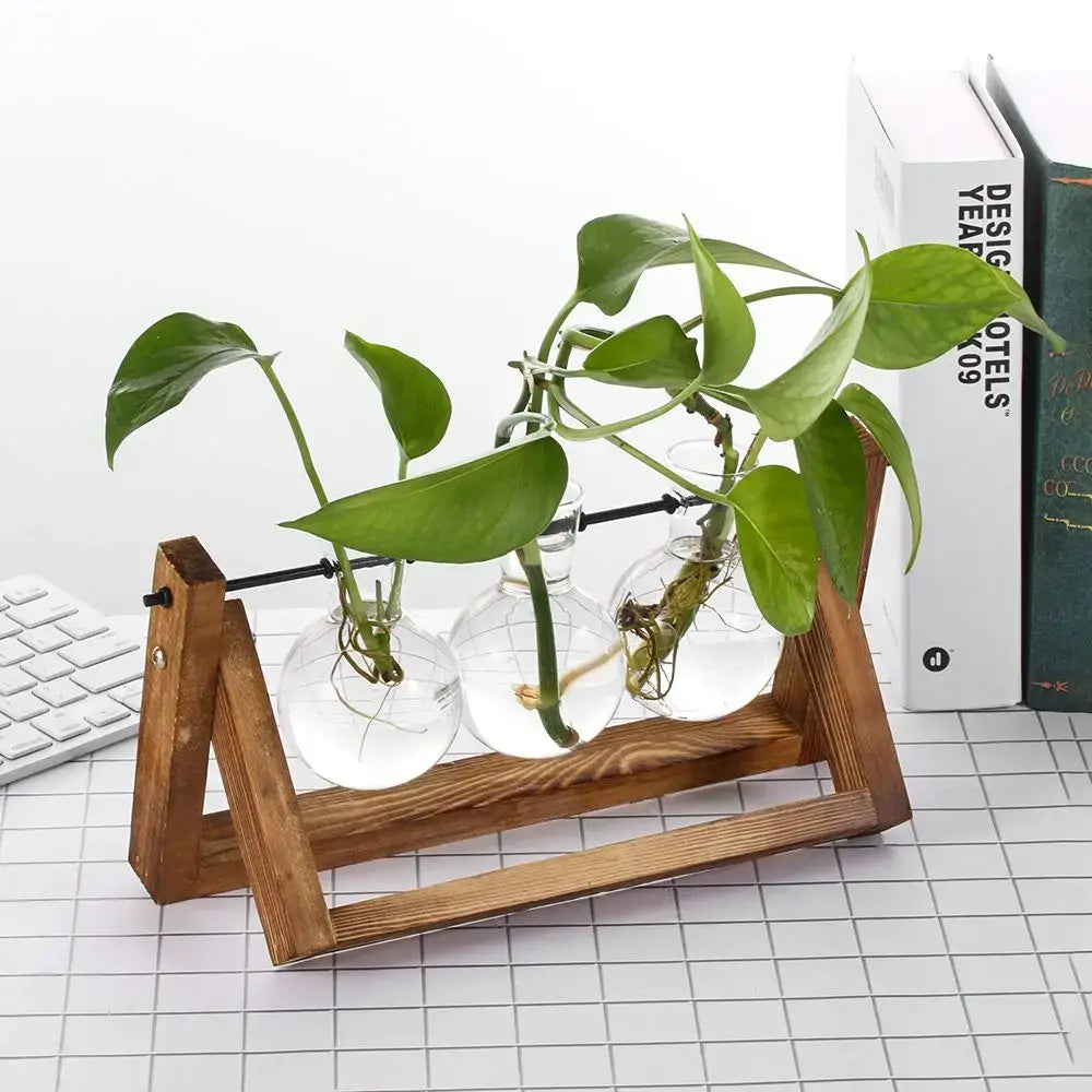 DecorBites modern wooden frame glass vase terrarium with wooden frame holding three clear glass vases and green plants