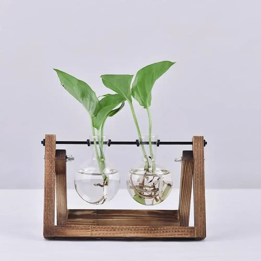 Decorbites™ modern wooden frame glass vase terrarium with two clear glass vases and green plants growing in water