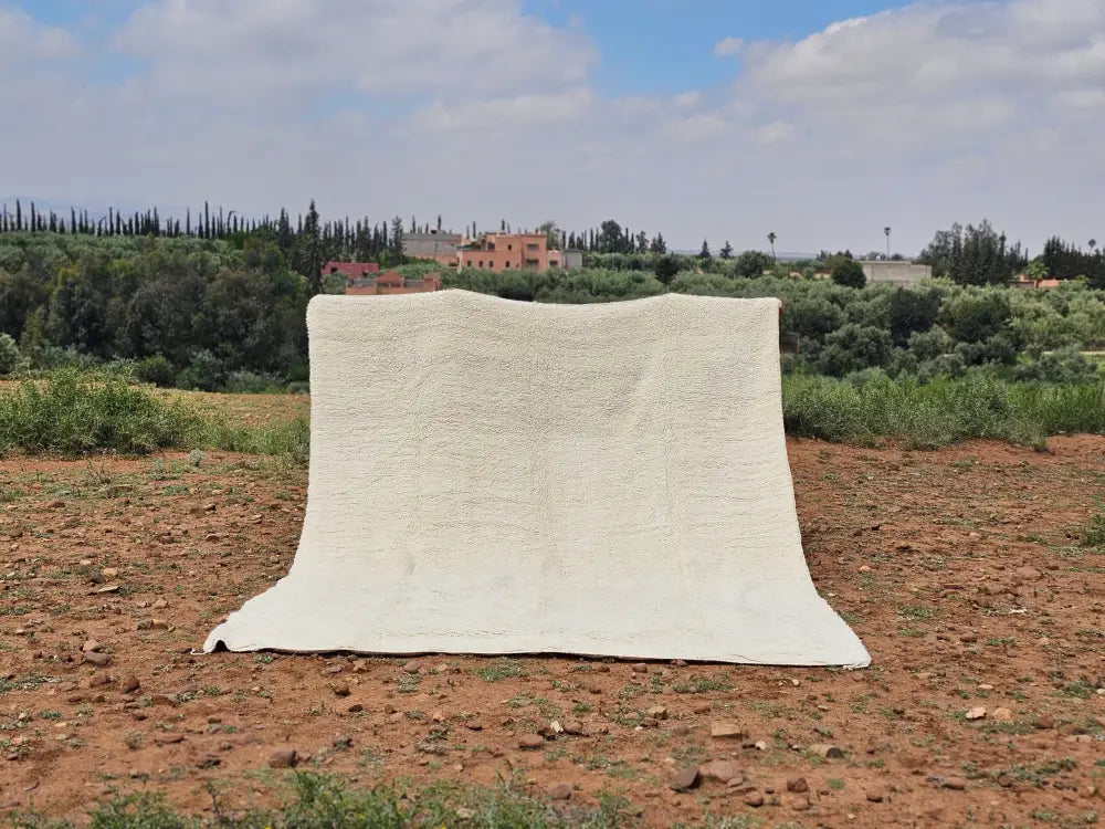 Off-white textured moroccan handmade beni ouarain rug with soft plush woolen surface and slightly frayed edges 464 x 360 cm
