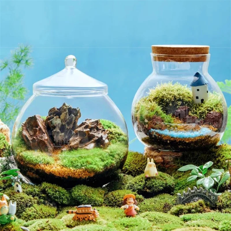 DecorBites™ Moss Ball Glass Vase for Desktop Decor