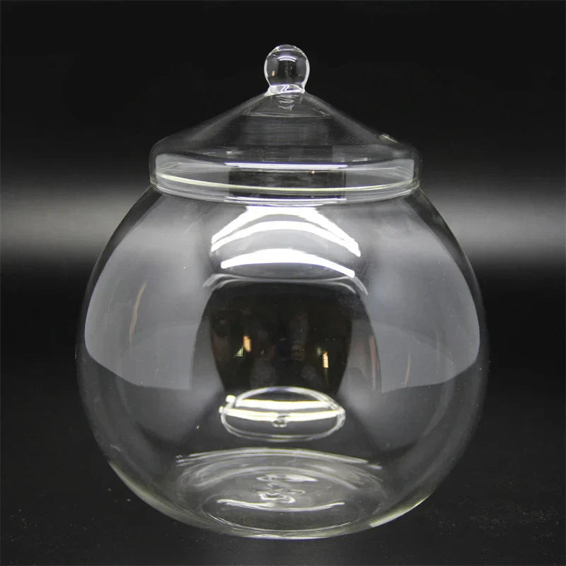 Moss Ball Glass Vase for Desktop Decor - Vase