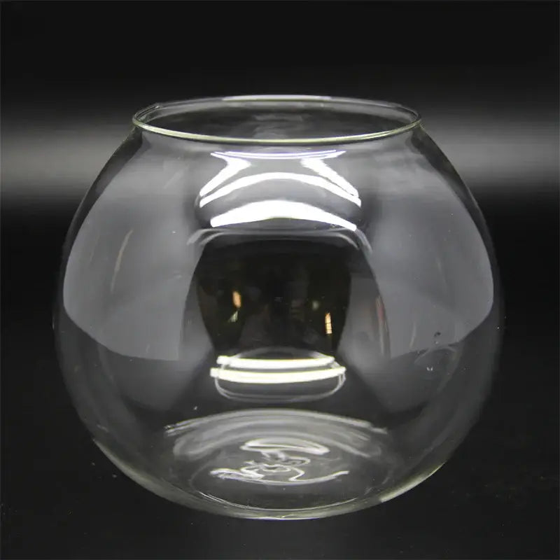Clear glass ball glass vase with smooth rounded shape and thickened rim for desktop decor by decorbites