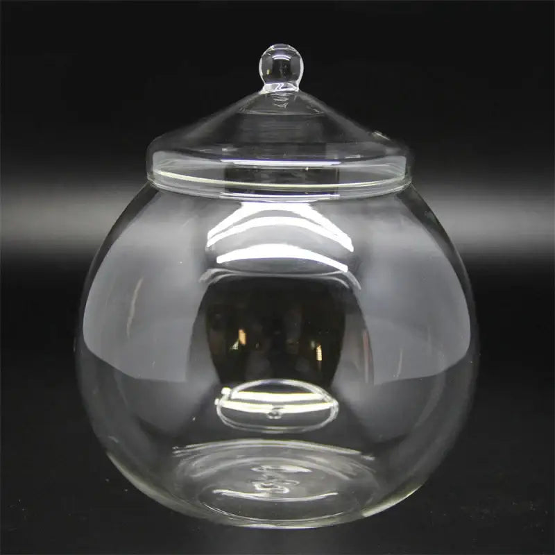 Decorbites™ moss ball glass vase featuring a clear glass jar with matching lid and rounded bulbous body for desktop decor