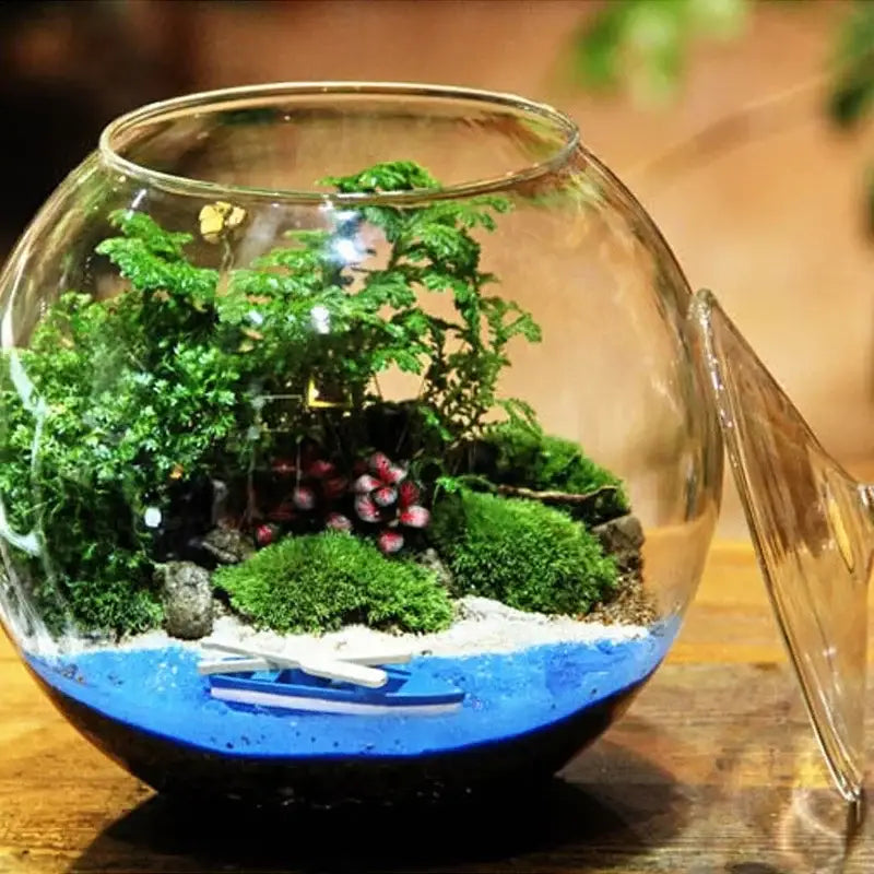 Decorbites™ moss ball glass vase featuring a clear glass spherical vase with green moss and red succulents for desktop decor