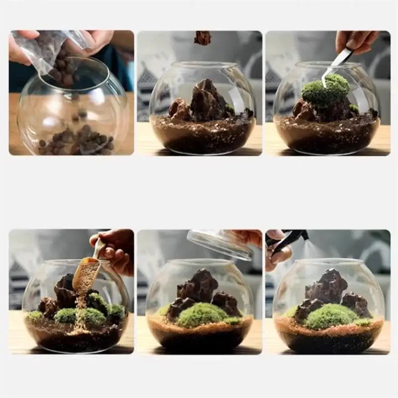 Decorbites™ moss ball glass vase is a clear glass vase with layered soil moss and rocks for desktop decor