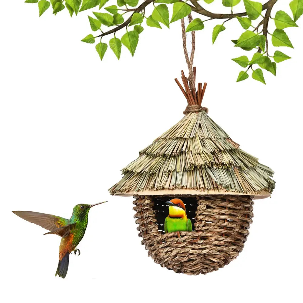 A rustic decorbites natural grass bird cage with a thatched roof for outdoor decor hangs from a branch