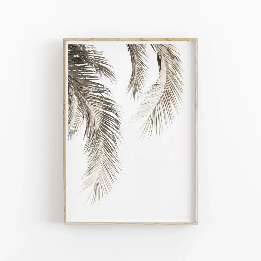A minimalist nordic botanical poster canvas art featuring delicate gray and white eucalyptus palm fronds by decorbites
