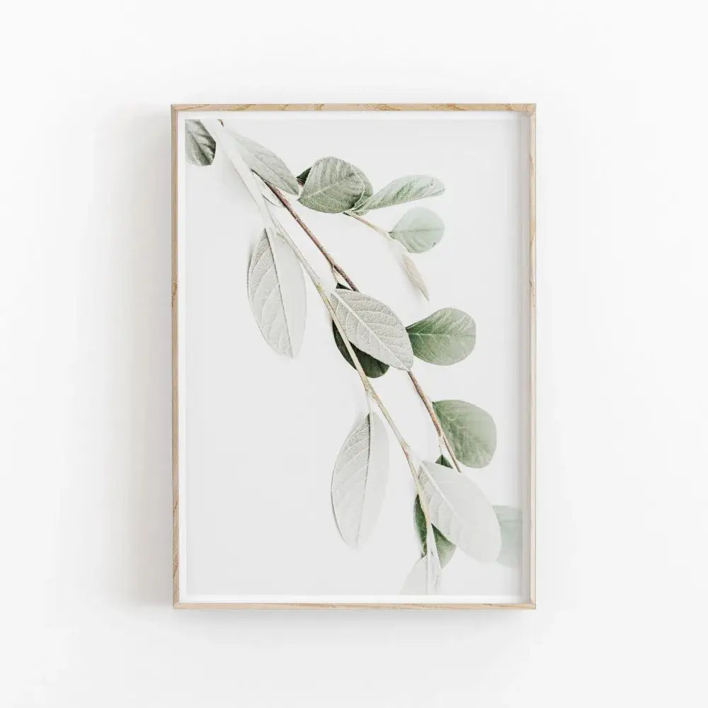 Minimalist framed nordic botanical poster featuring eucalyptus leaves in soft green and white tones in light wood frame