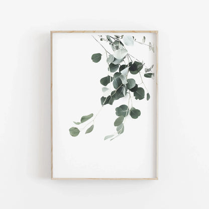 Nordic Botanical Poster Canvas Art - Eucalyptus Palm - 04 / 30x40cm No Framed - Posters