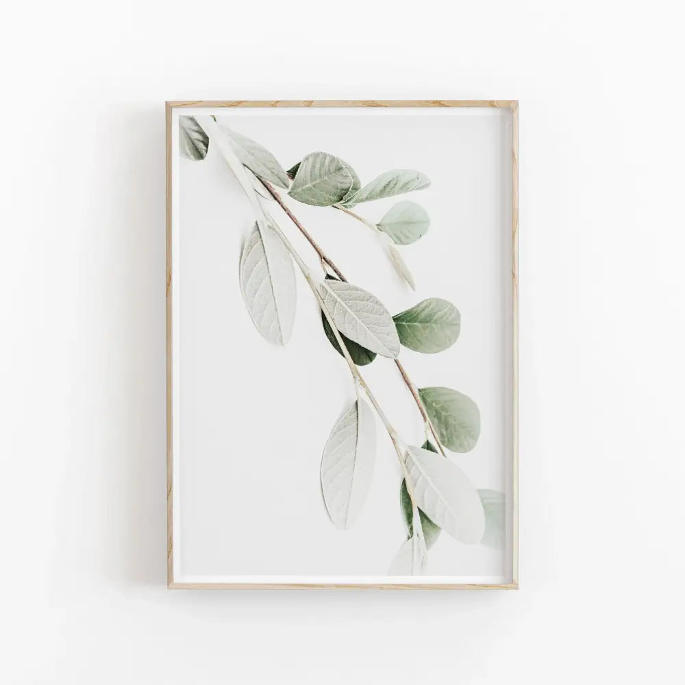 Minimalist nordic botanical poster canvas art featuring eucalyptus leaves in soft green tones framed in light wood