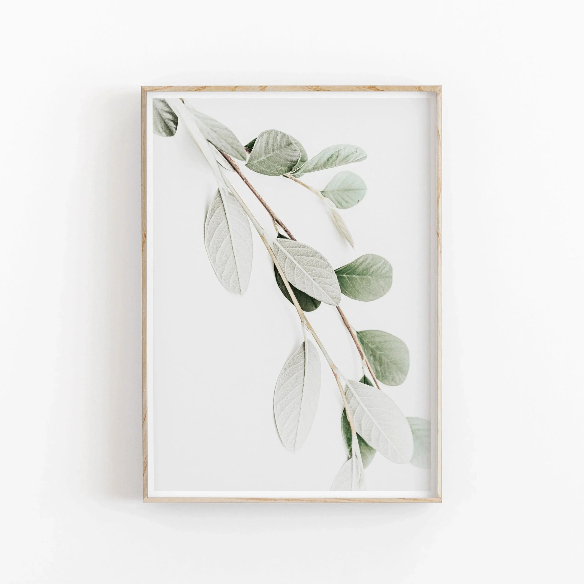 Nordic Botanical Poster Canvas Art - Eucalyptus Palm - 03 / 20x30cm No Framed - Posters