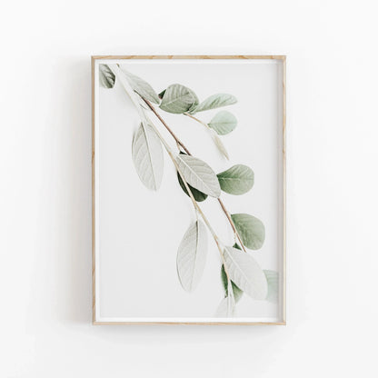 Nordic Botanical Poster Canvas Art - Eucalyptus Palm - 03 / 20x30cm No Framed - Posters