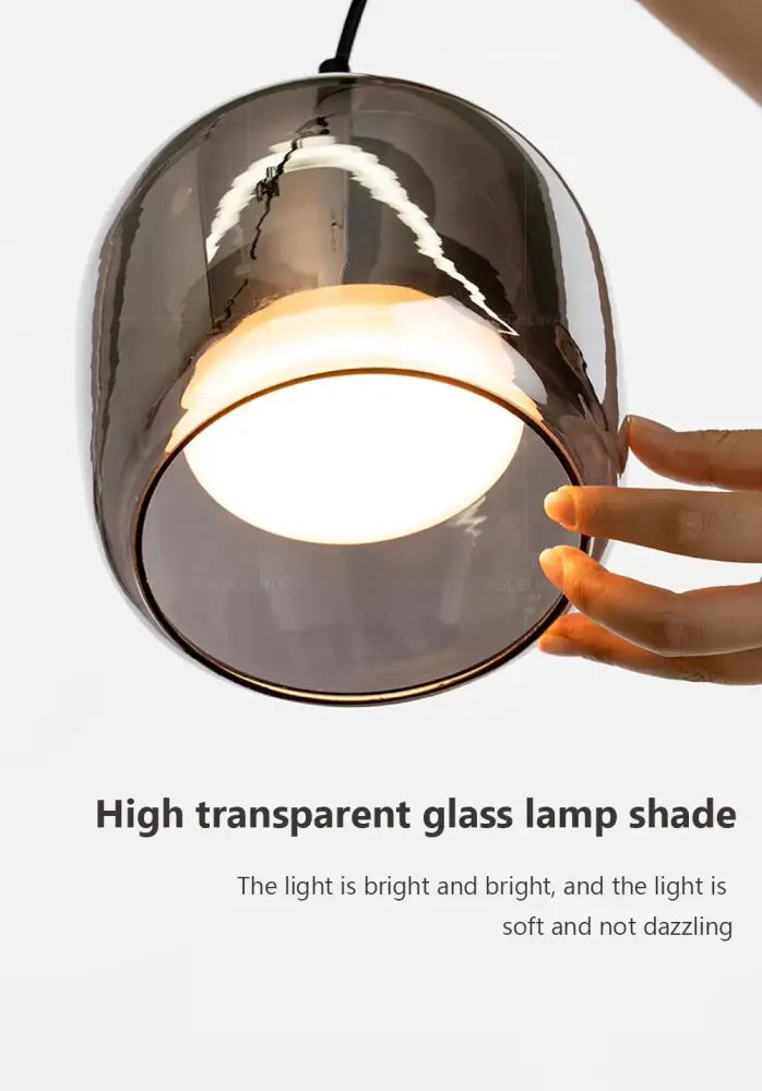 A modern decorbites™ nordic glass led pendant chandelier with sleek dark-tinted curved glass shade and warm interior glow